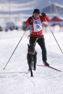 Lenk 2013